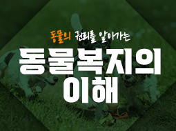 동물복지의 이해